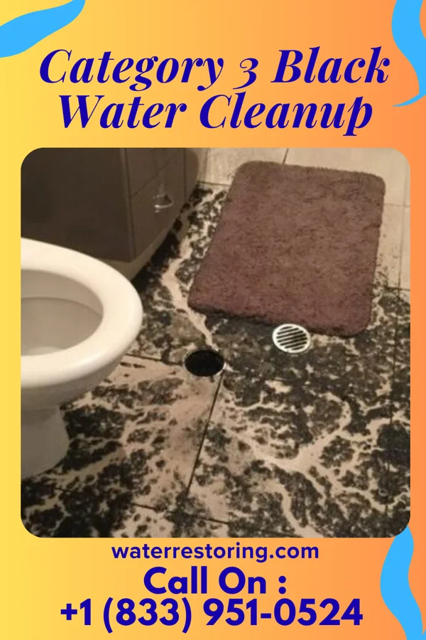 Category 3 Black Water Cleanup in Loveland, OK